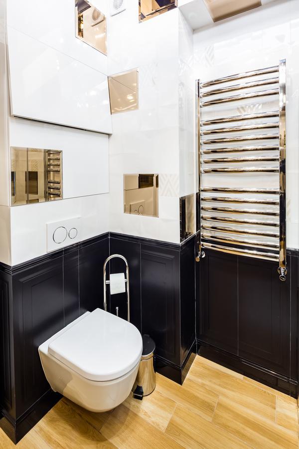 Royal Luxury On Tsehova 9 Lviv